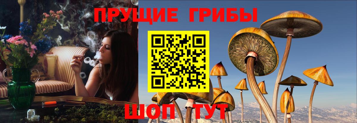 Псилоцибиновые грибы мухоморы  Вход с VPN  Казань 