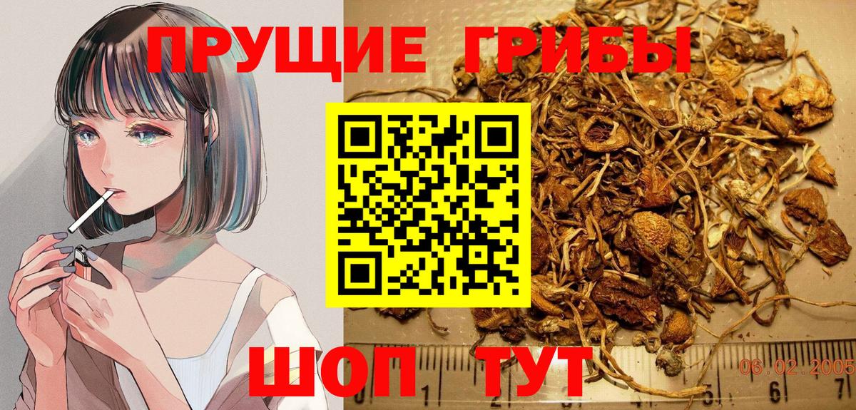 Галлюциногенные грибы ЛСД Казань